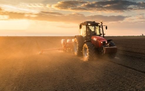 farming in Mazabuka Farming in Mazabuka with Lemmar supporting you